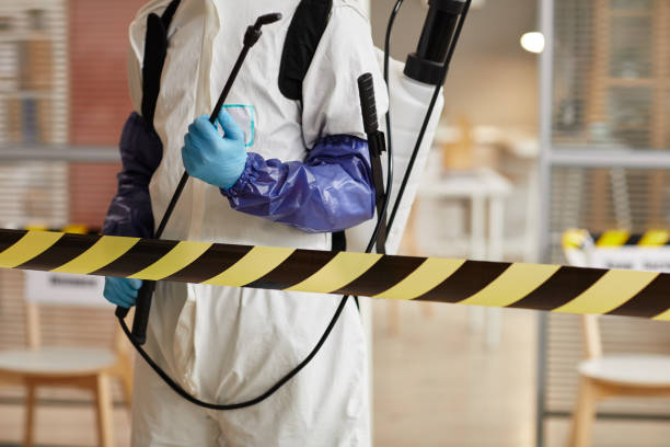Professional Blood Cleanup technician working in Mesquite, NV
